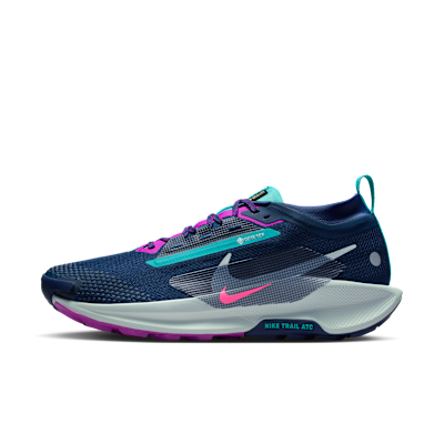 NIKE+PEGASUS+TRAIL+5+GTX.png